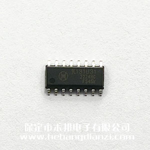 π131U31